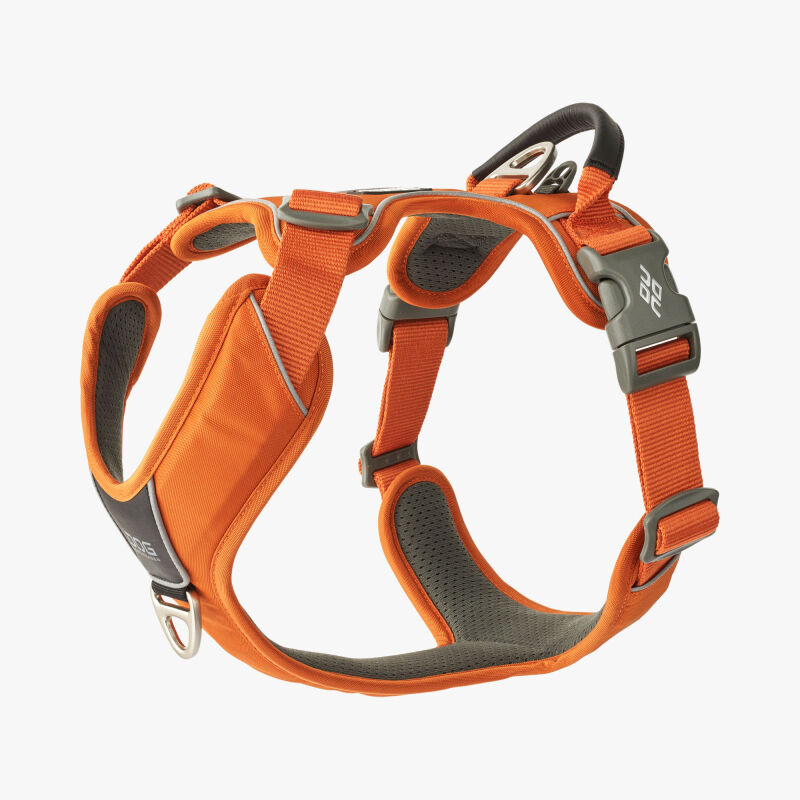 DOG Copenhagen Comfort Walk Pro Geschirr Gr. M 