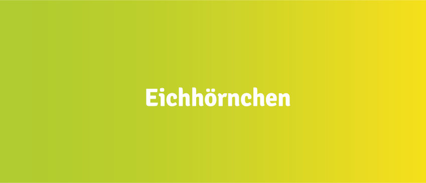 Kacheln_Eichhrnchen