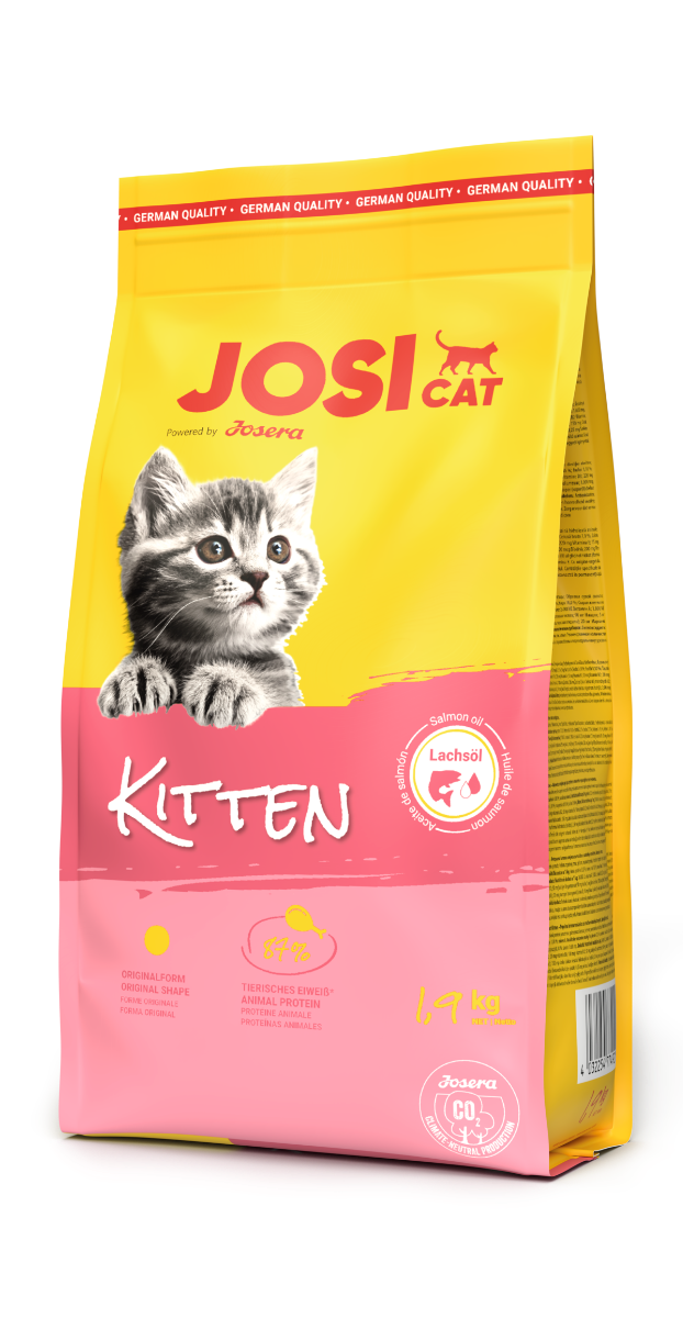 JosiCat Kitten