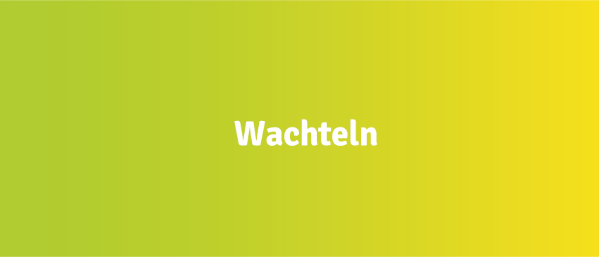 Kacheln_Wachteln