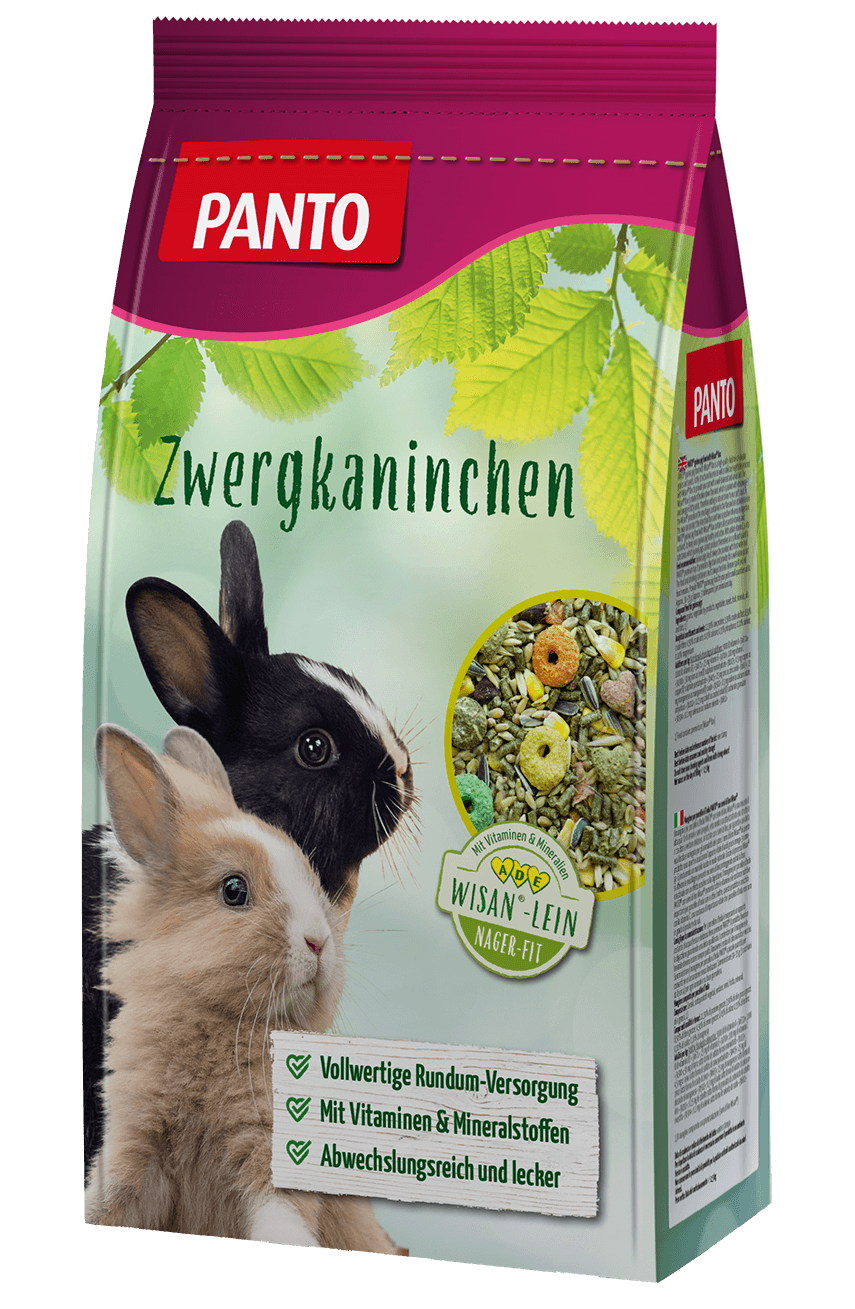 Zwergkaninchen