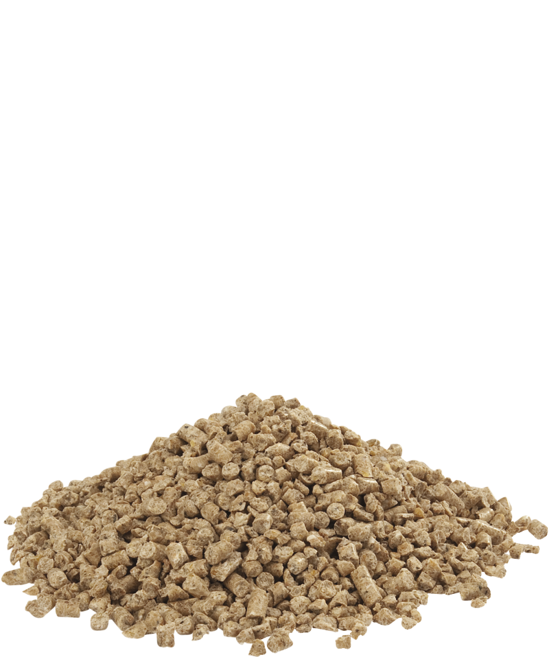 Duck 1 Crumble Entenstarter 20kg