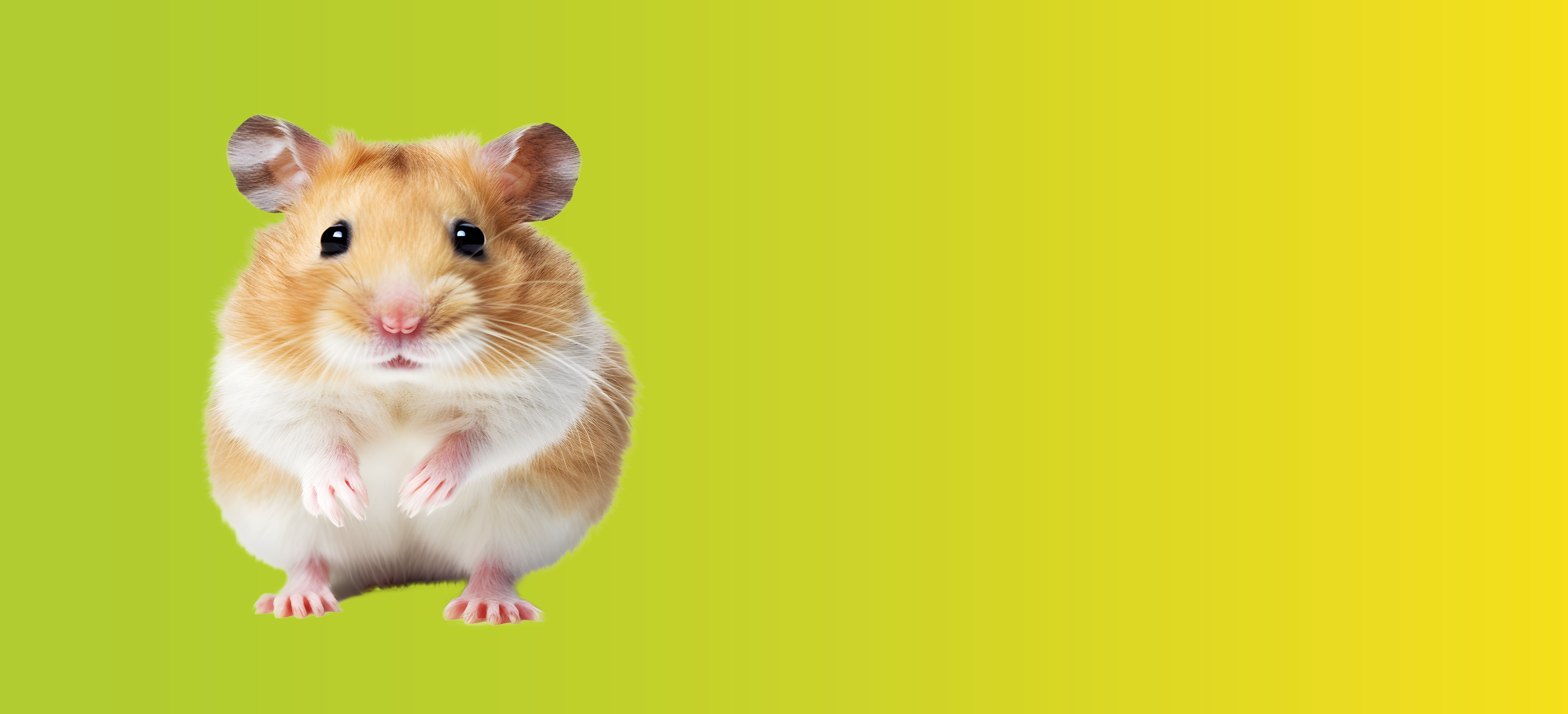 Banner Hamsterfutter