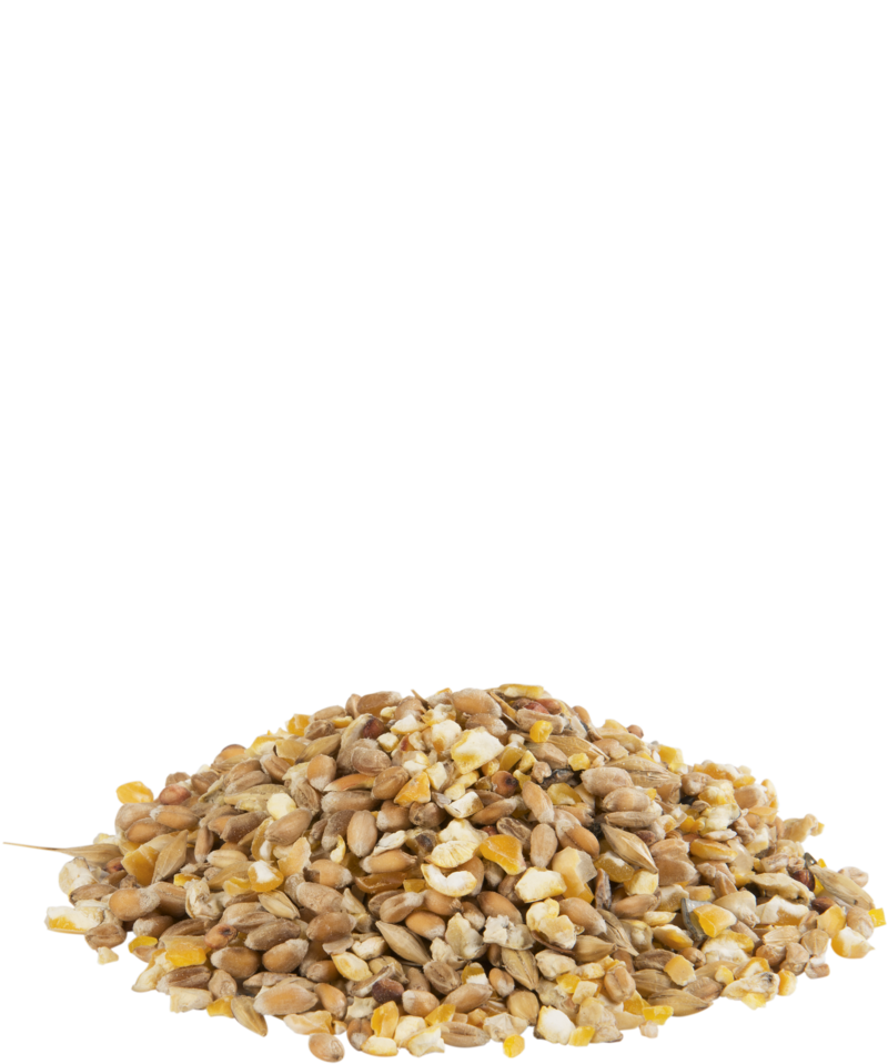 Gra - Mix Geflügelmix mit Grit 20kg Gra - Mix Geflügelmix mit Grit 20kg