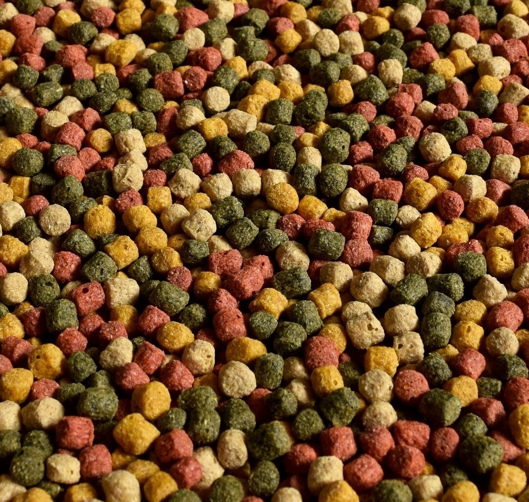 Koi Pellets 1,8kg 