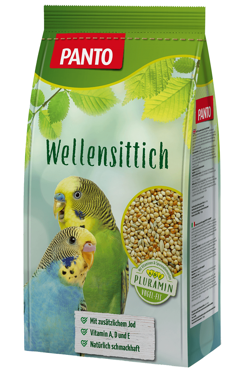 Wellensittich