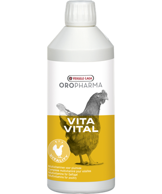 Vita Vital 500ml